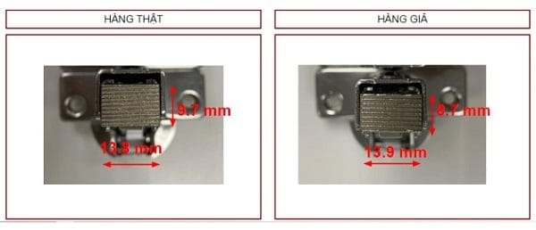 Quan sát ngoại quan