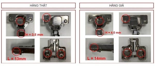 Quan sát ngoại quan